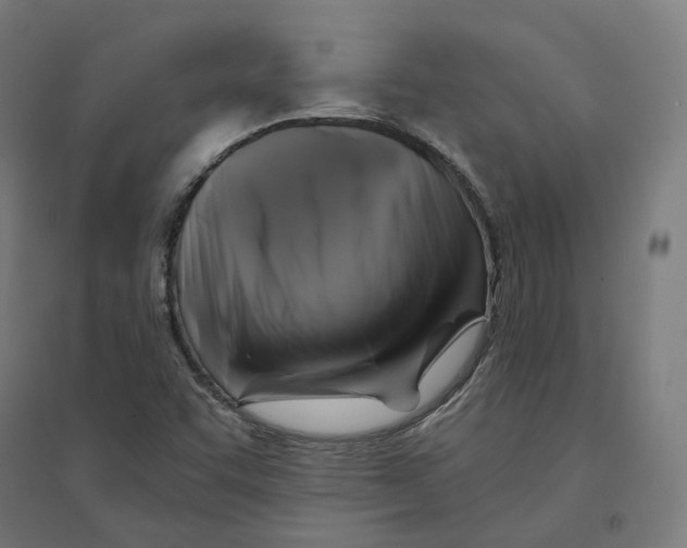 X0000094431455200712061103