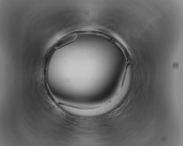 X0000094431456200712061103