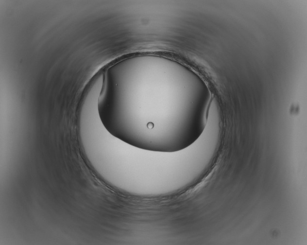 X0000094431457200712061103