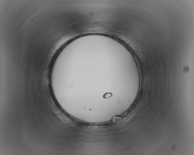 X0000094431458200712061103