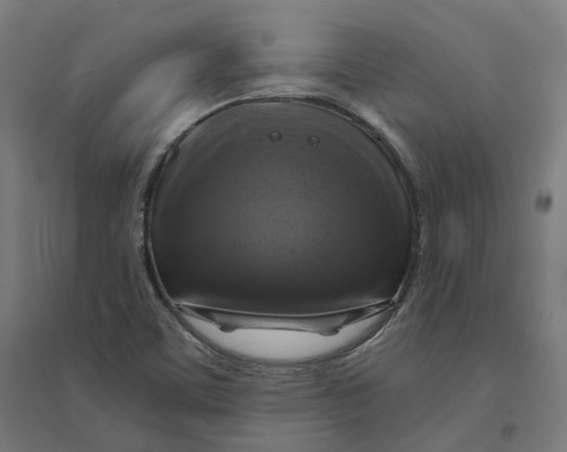 X0000094431459200712061103