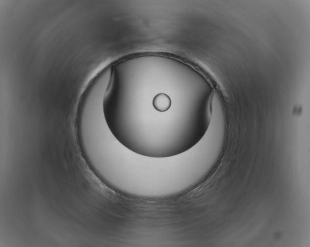 X0000094431460200712061103