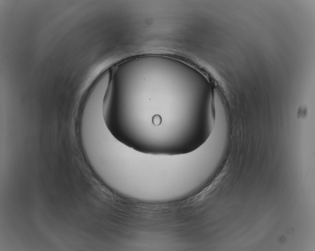 X0000094431461200712061103