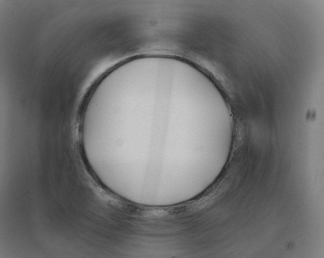 X0000094431462200712061103