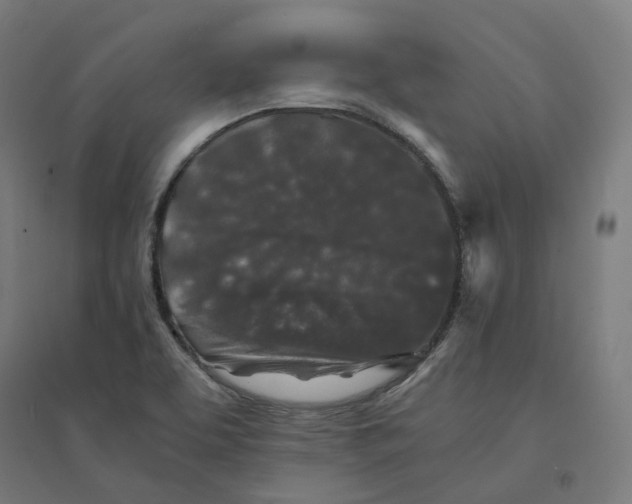 X0000094431463200712061103