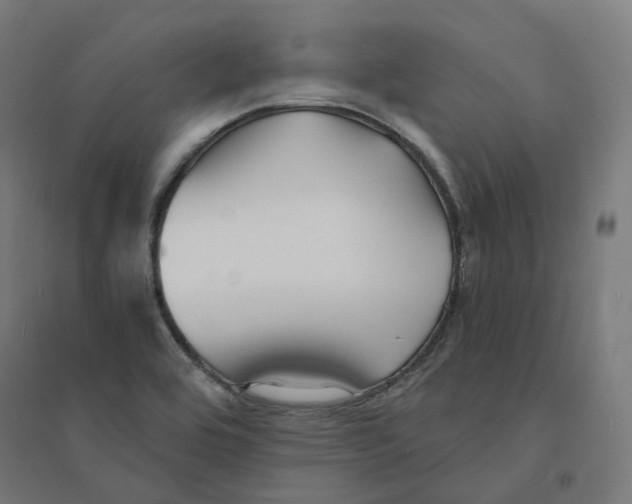 X0000094431464200712061103