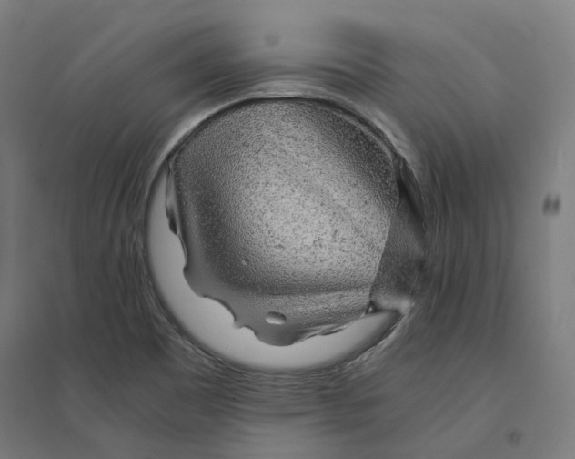 X0000094431465200712061103