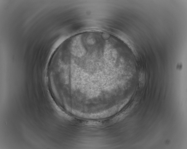 X0000094431466200712061103