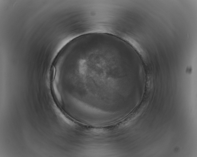 X0000094431468200712061103