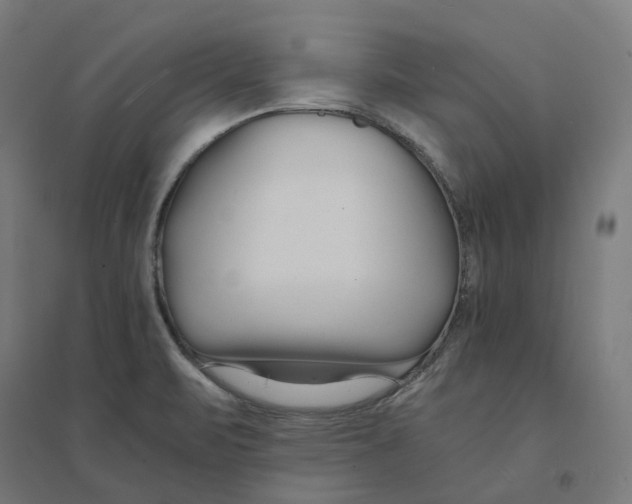 X0000094431471200712061103