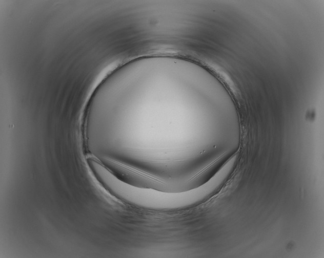 X0000094431475200712061103