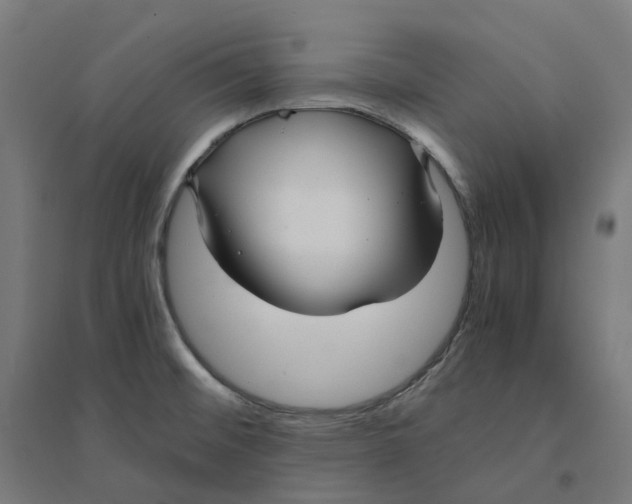 X0000094431476200712061103