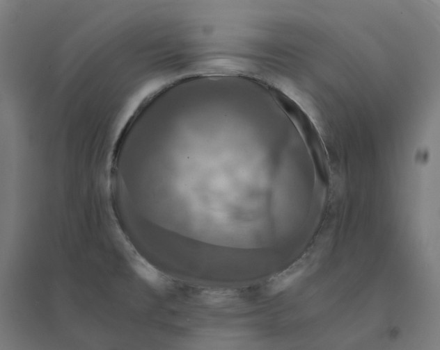 X0000094431477200712061103