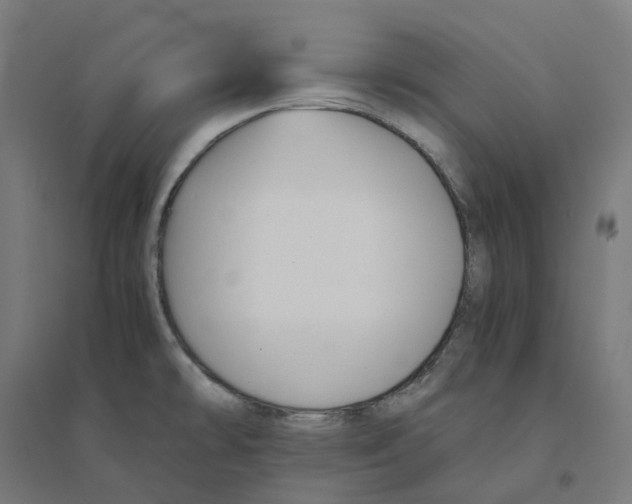 X0000094431478200712061103