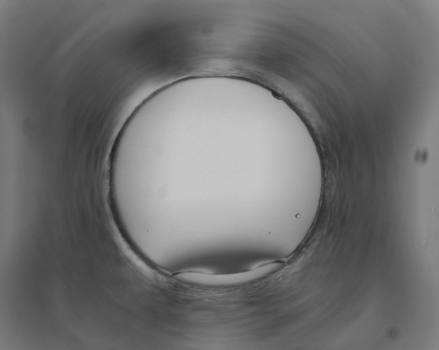 X0000094431479200712061103