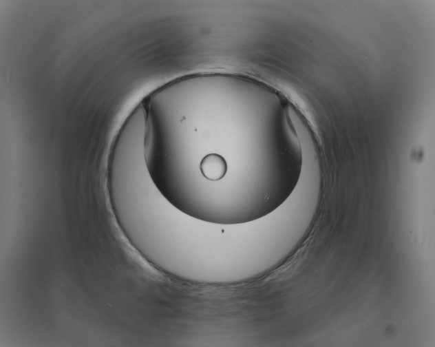 X0000094431480200712061103