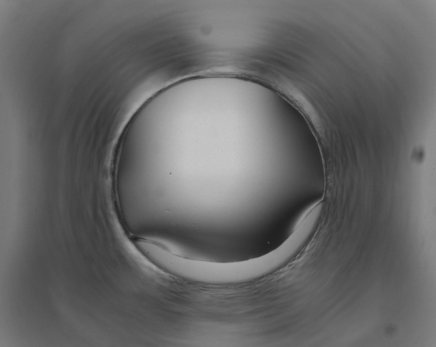 X0000094431483200712061103