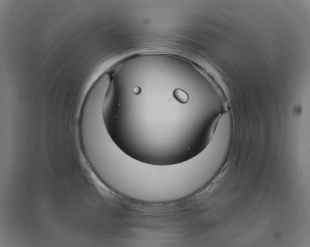 X0000094431485200712061103