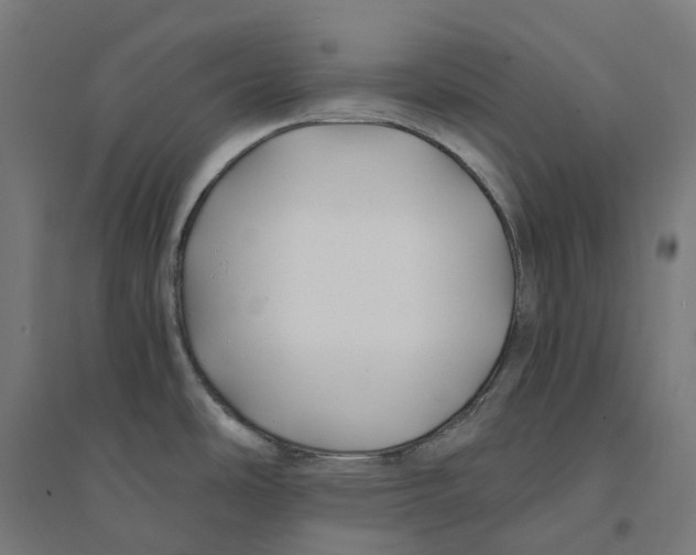 X0000094431486200712061103