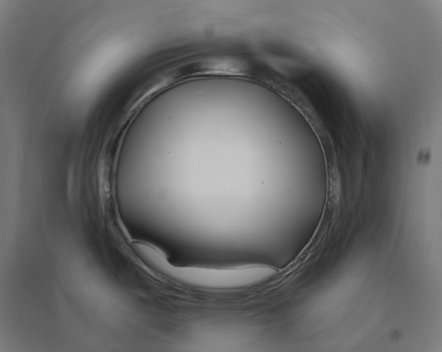 X0000094431487200712061103