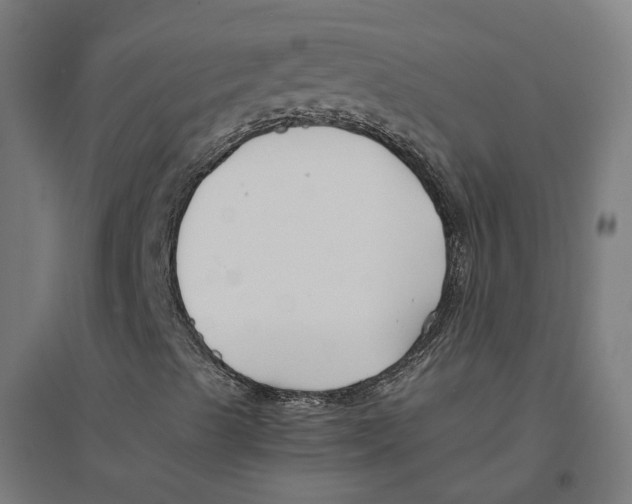 X0000094431489200712061102