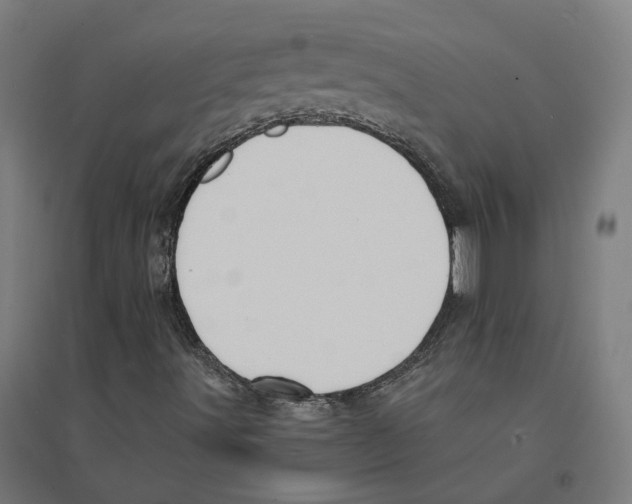 X0000094431491200712061102