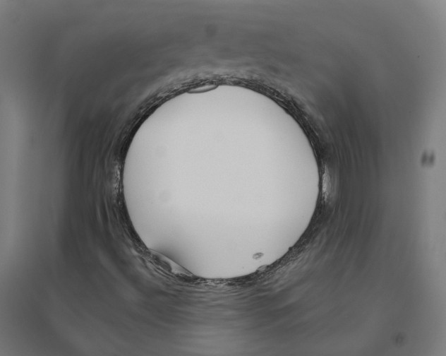 X0000094431492200712061102