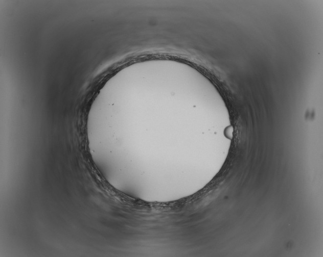 X0000094431494200712061102