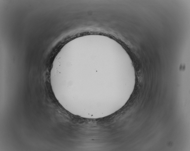 X0000094431495200712061102