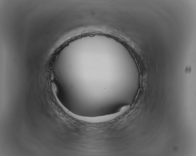 X0000094431496200712061102