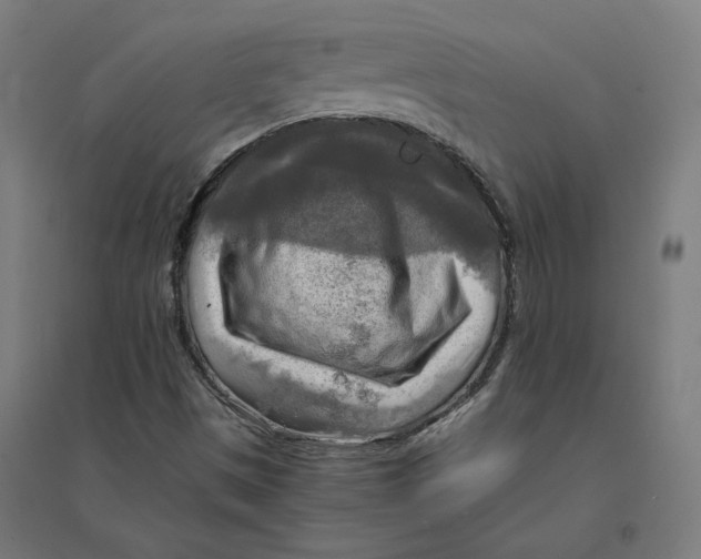 X0000094431497200712061102