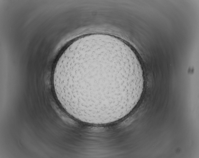 X0000094431499200712061102