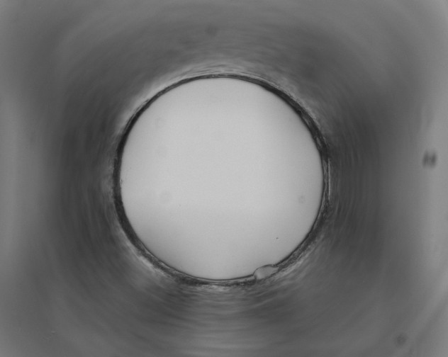 X0000094431500200712061102