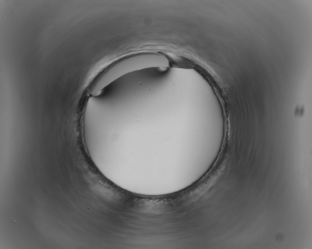 X0000094431501200712061102