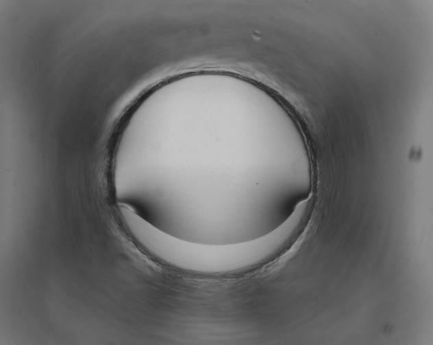 X0000094431502200712061102