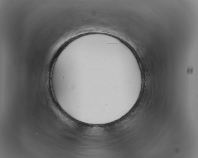 X0000094431503200712061102