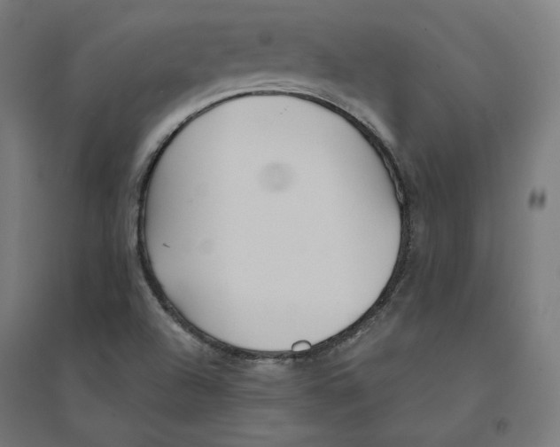 X0000094431504200712061102