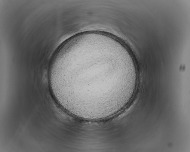 X0000094431505200712061102