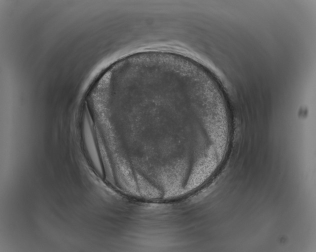 X0000094431506200712061102