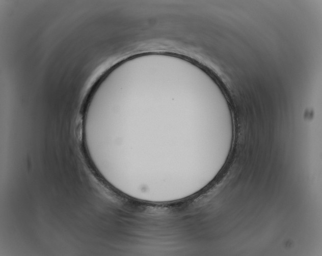 X0000094431509200712061102