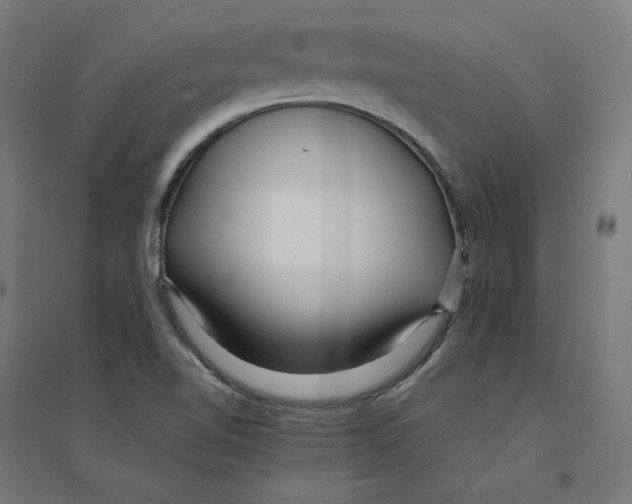 X0000094431510200712061102