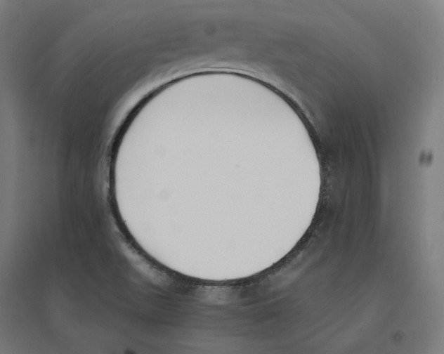 X0000094431511200712061102