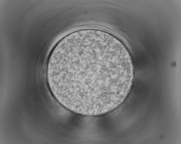 X0000094431514200712061102