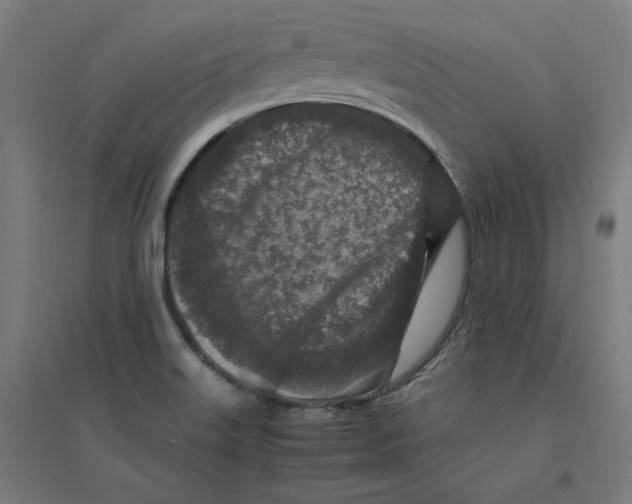 X0000094431515200712061102