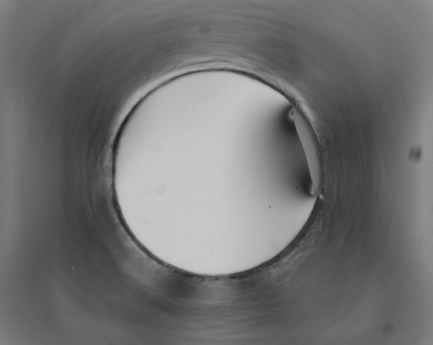 X0000094431516200712061103