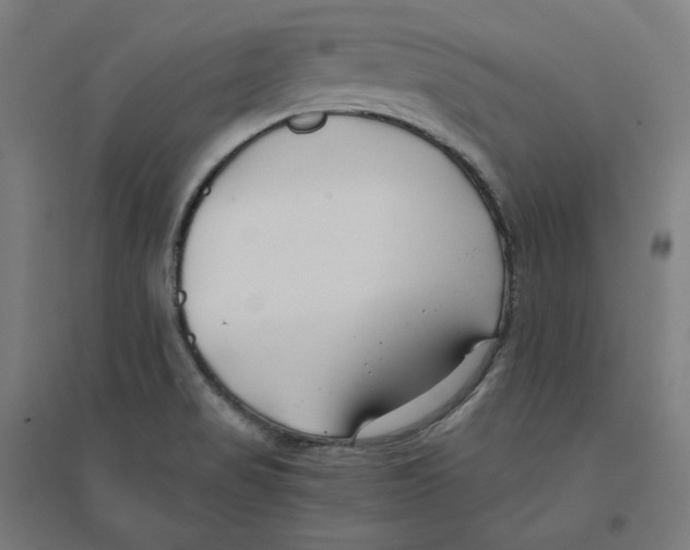 X0000094431517200712061103