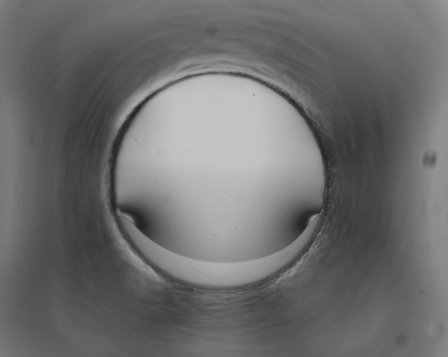 X0000094431518200712061103