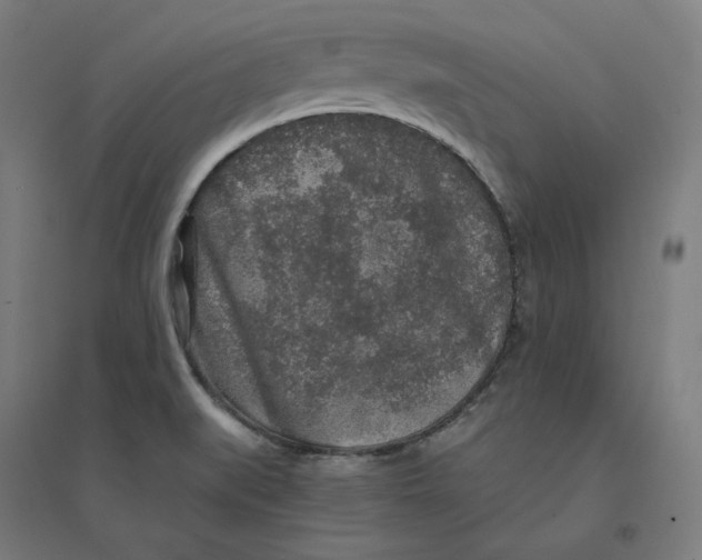 X0000094431519200712061103