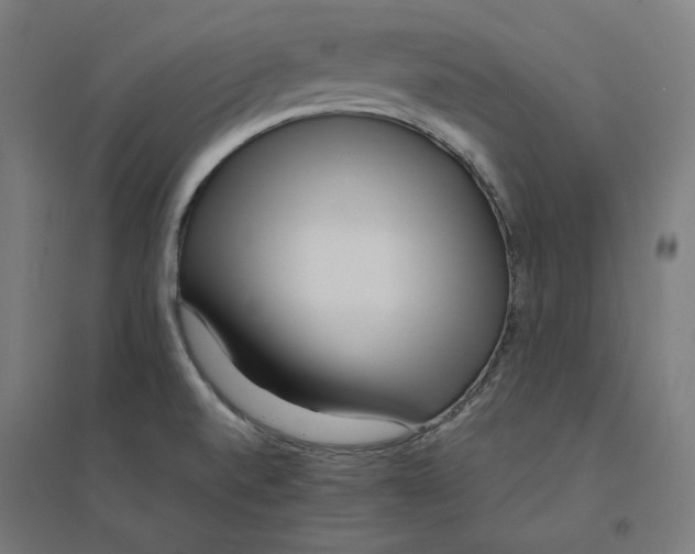 X0000094431520200712061103