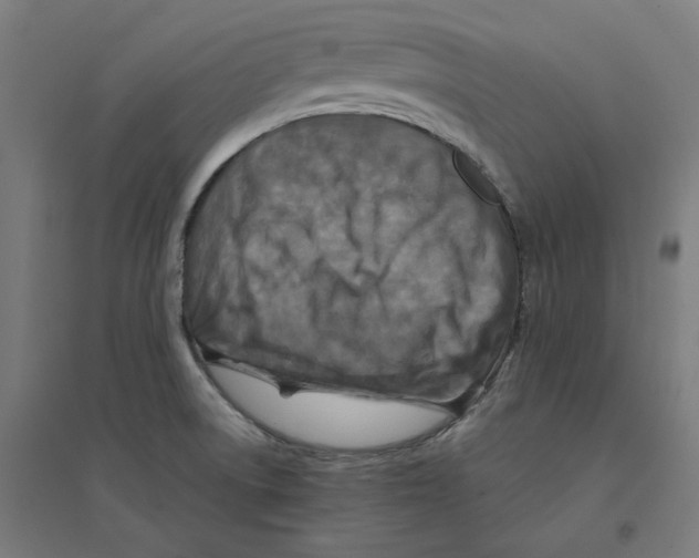 X0000094431522200712061103